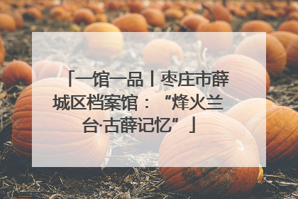 一馆一品丨枣庄市薛城区档案馆：“烽火兰台·古薛记忆”